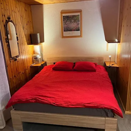 公寓 Au Village D'evolene, Tres Joli Calme Et Ensoleille Evolène